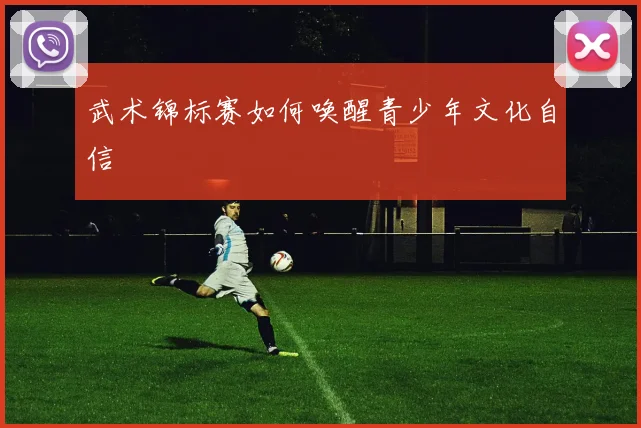 武术锦标赛如何唤醒青少年文化自信