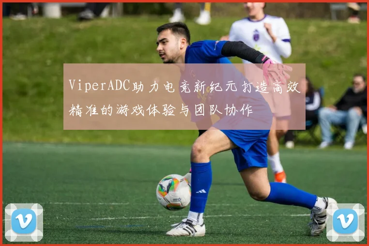 ViperADC助力电竞新纪元打造高效精准的游戏体验与团队协作