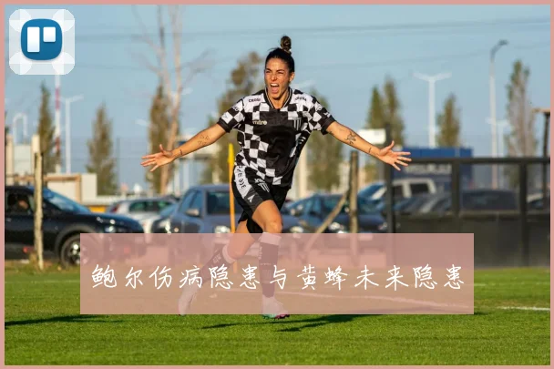 鲍尔伤病隐患与黄蜂未来隐患