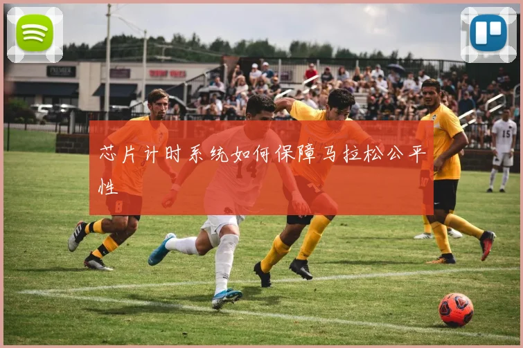 芯片计时系统如何保障马拉松公平性