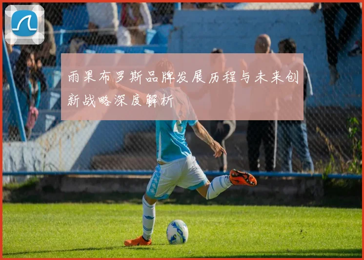 雨果布罗斯品牌发展历程与未来创新战略深度解析