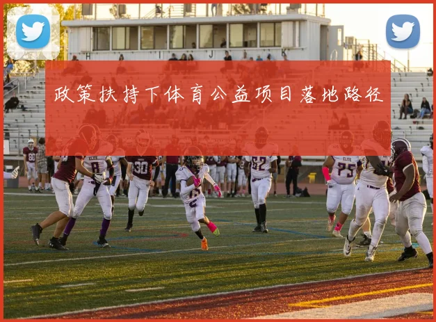 政策扶持下体育公益项目落地路径