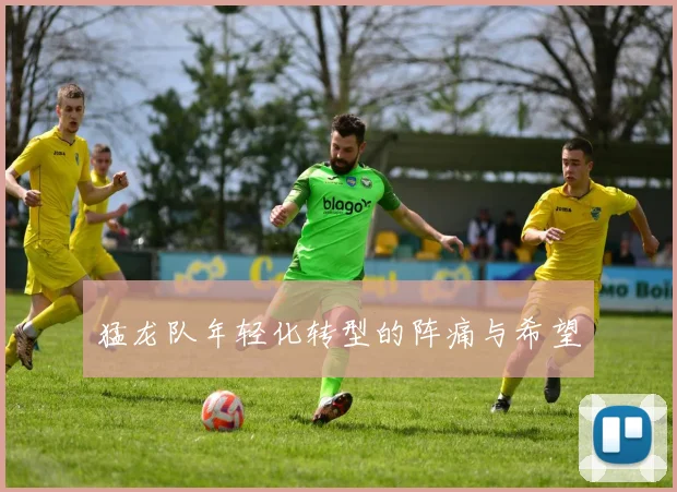猛龙队年轻化转型的阵痛与希望
