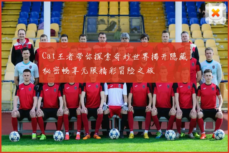 Cat王者带你探索奇妙世界揭开隐藏秘密畅享无限精彩冒险之旅
