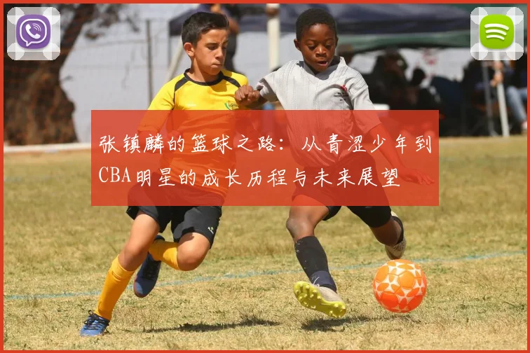 张镇麟的篮球之路：从青涩少年到CBA明星的成长历程与未来展望