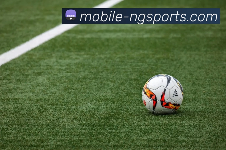 ng体育平台生态图