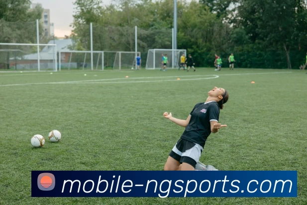 ng体育品牌故事